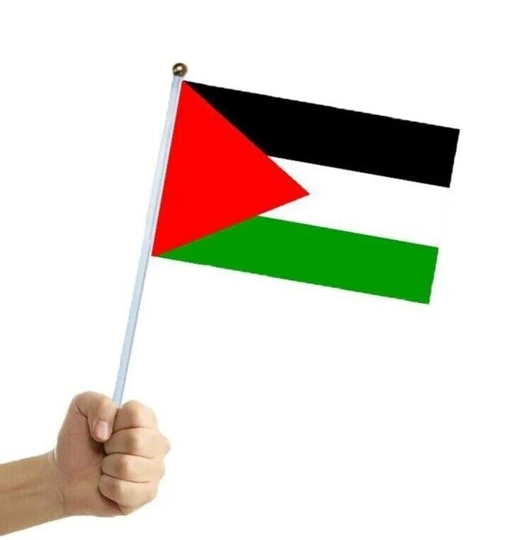 Palestine Flag PNG Transparent, Palestine Flag Pin Badge