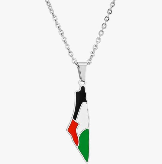Palestine Flag Map Necklace in Silver Close of Palestine Flag Map Necklace, Silver colour