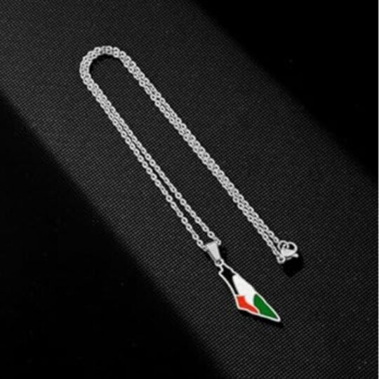 Palestine Flag Map Necklace in Silver Full product image of Palestine Flag Map Necklace, Silver colour