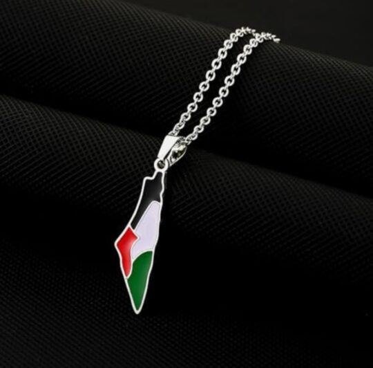 Palestine Flag Map Necklace in Silver Close up of Palestine Flag Map Necklace, Silver colour