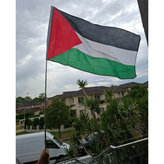 Palestine Flag with our Telescopic 1.8m Pole Image of our Palestine Flag with our Telescopic 1.8m Pole